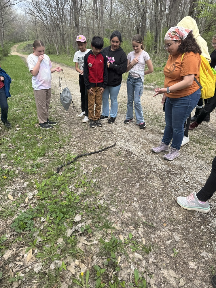 Outdoor School