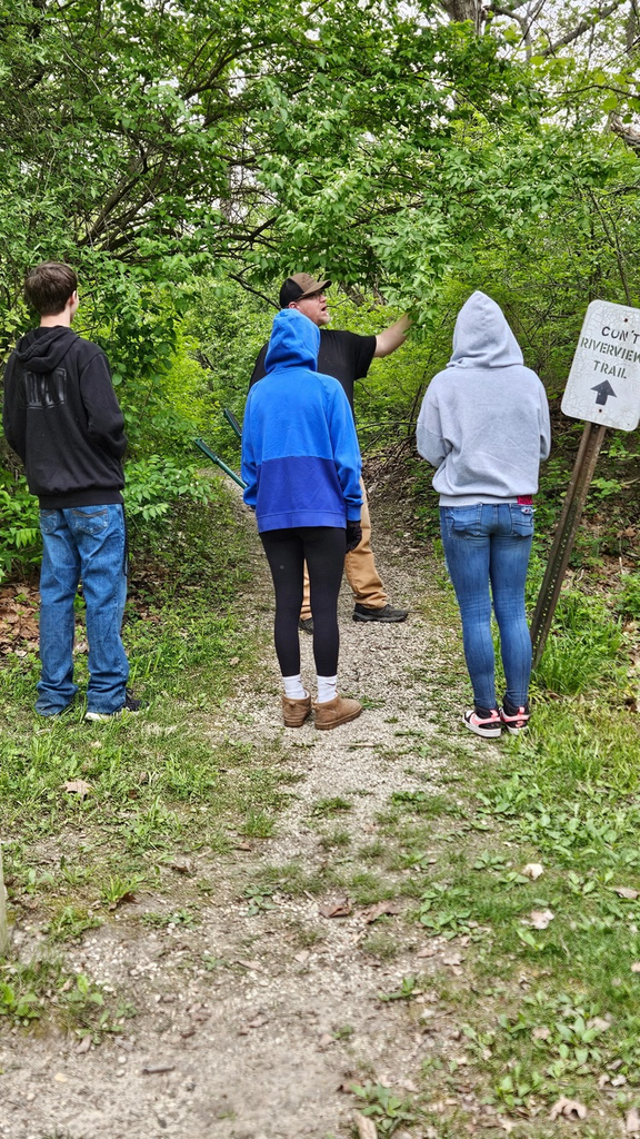 trail work