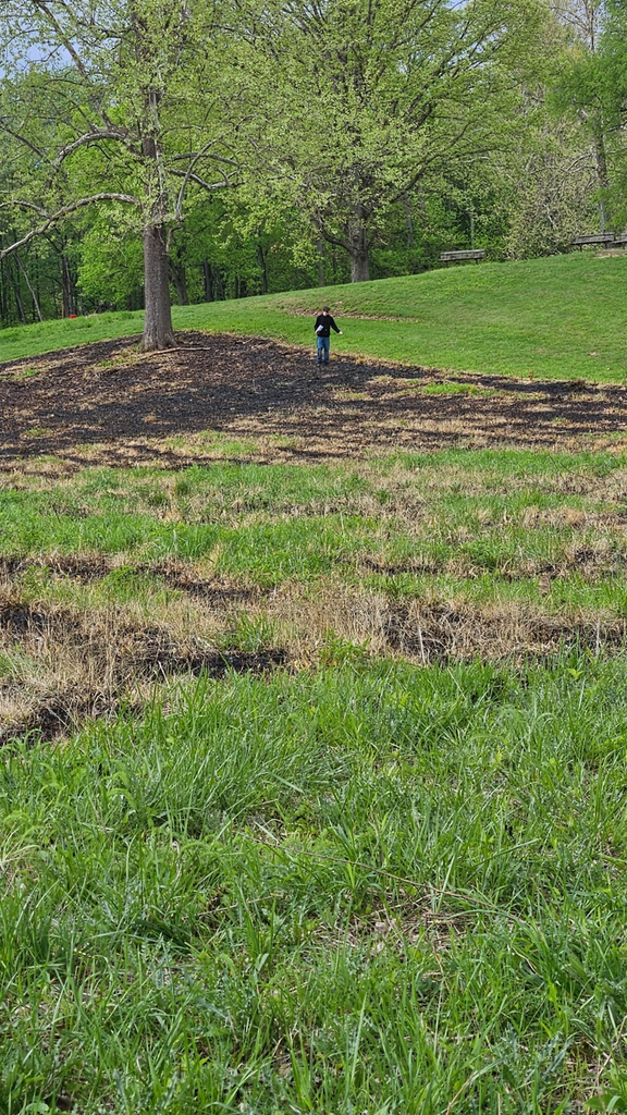 trail work