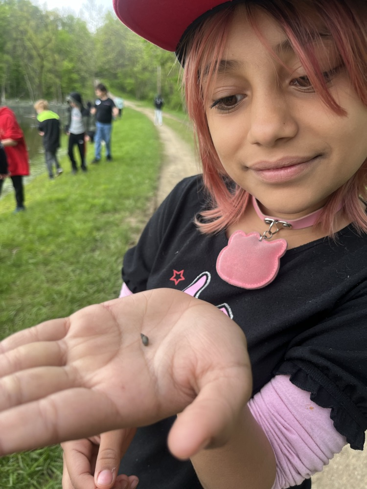 The class of Mrs. Gaddis and Mrs. Turner had day 1 of Outdoor School today. we went for a short hike before the rain and saw some frogs, geese, snails, and a blue heron. This afternoon we were able to check out the animal pelts and some other items