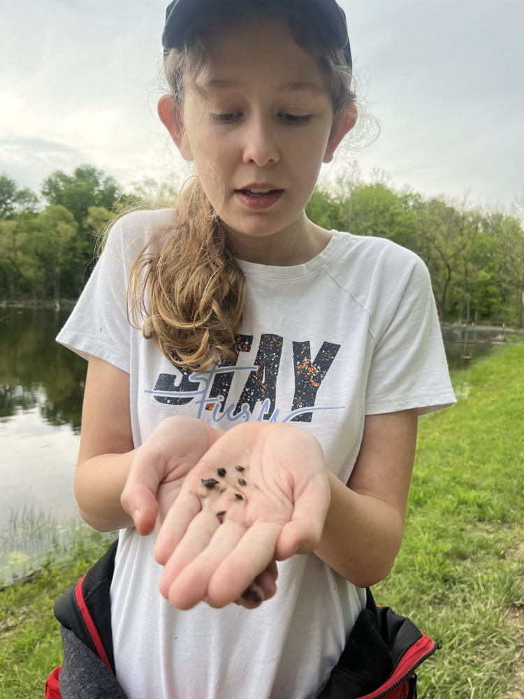 The class of Mrs. Gaddis and Mrs. Turner had day 1 of Outdoor School today. we went for a short hike before the rain and saw some frogs, geese, snails, and a blue heron. This afternoon we were able to check out the animal pelts and some other items