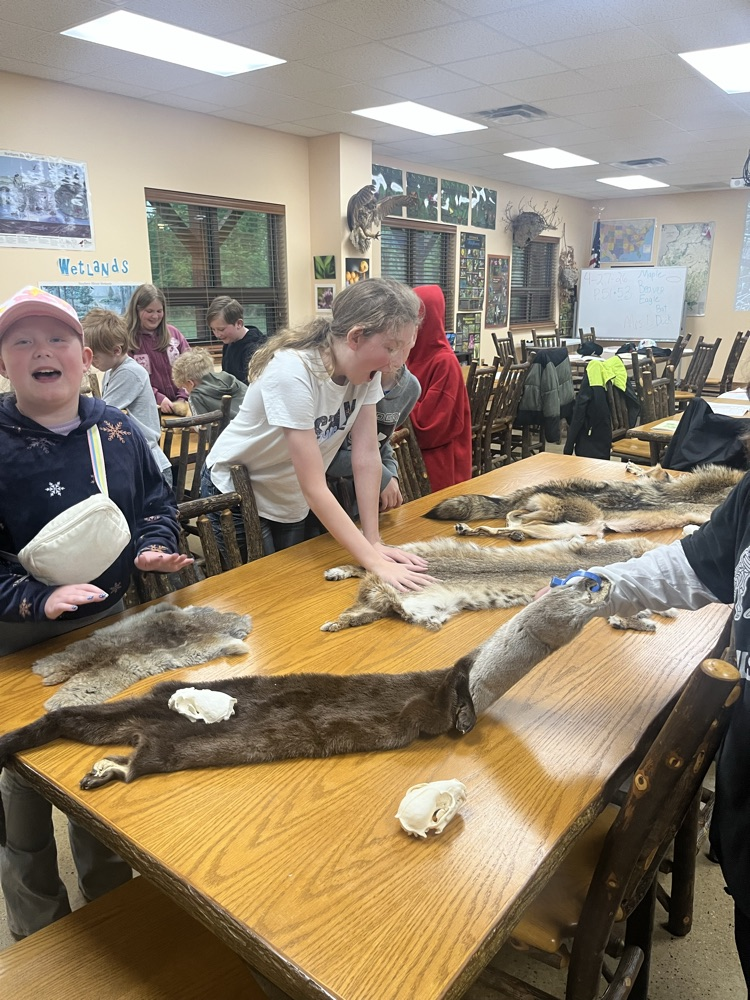 The class of Mrs. Gaddis and Mrs. Turner had day 1 of Outdoor School today. we went for a short hike before the rain and saw some frogs, geese, snails, and a blue heron. This afternoon we were able to check out the animal pelts and some other items