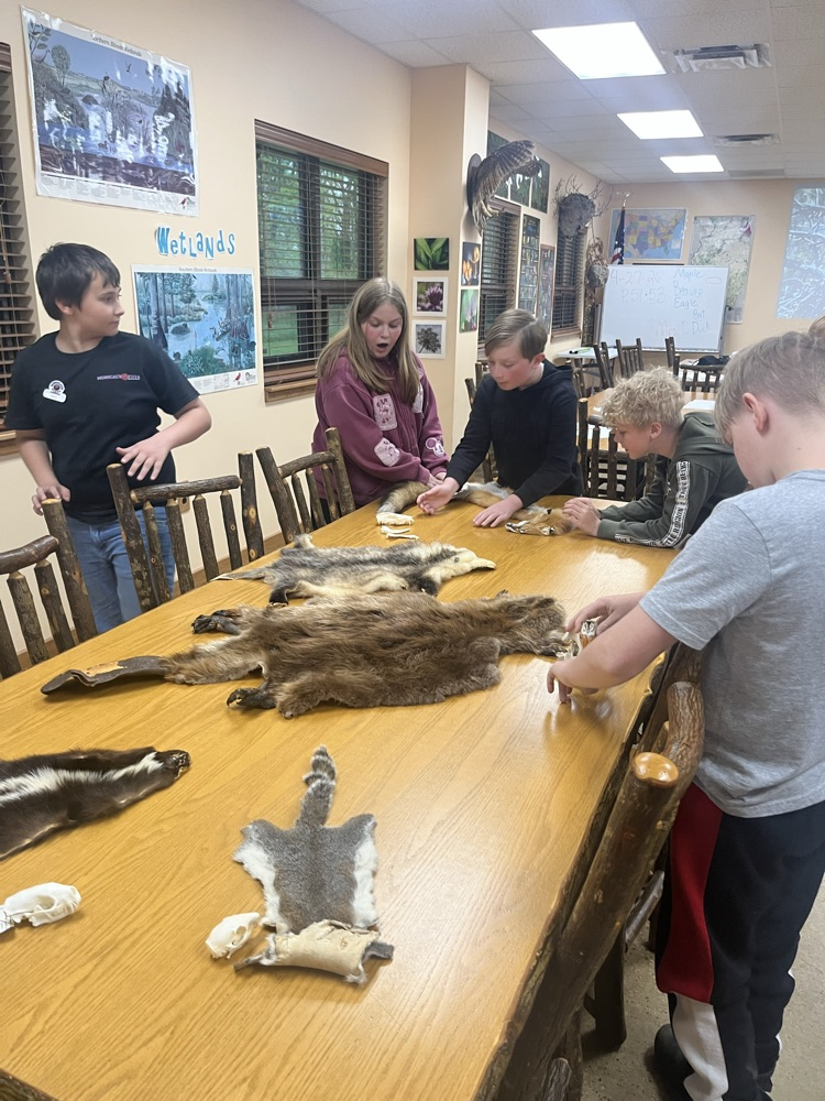 The class of Mrs. Gaddis and Mrs. Turner had day 1 of Outdoor School today. we went for a short hike before the rain and saw some frogs, geese, snails, and a blue heron. This afternoon we were able to check out the animal pelts and some other items