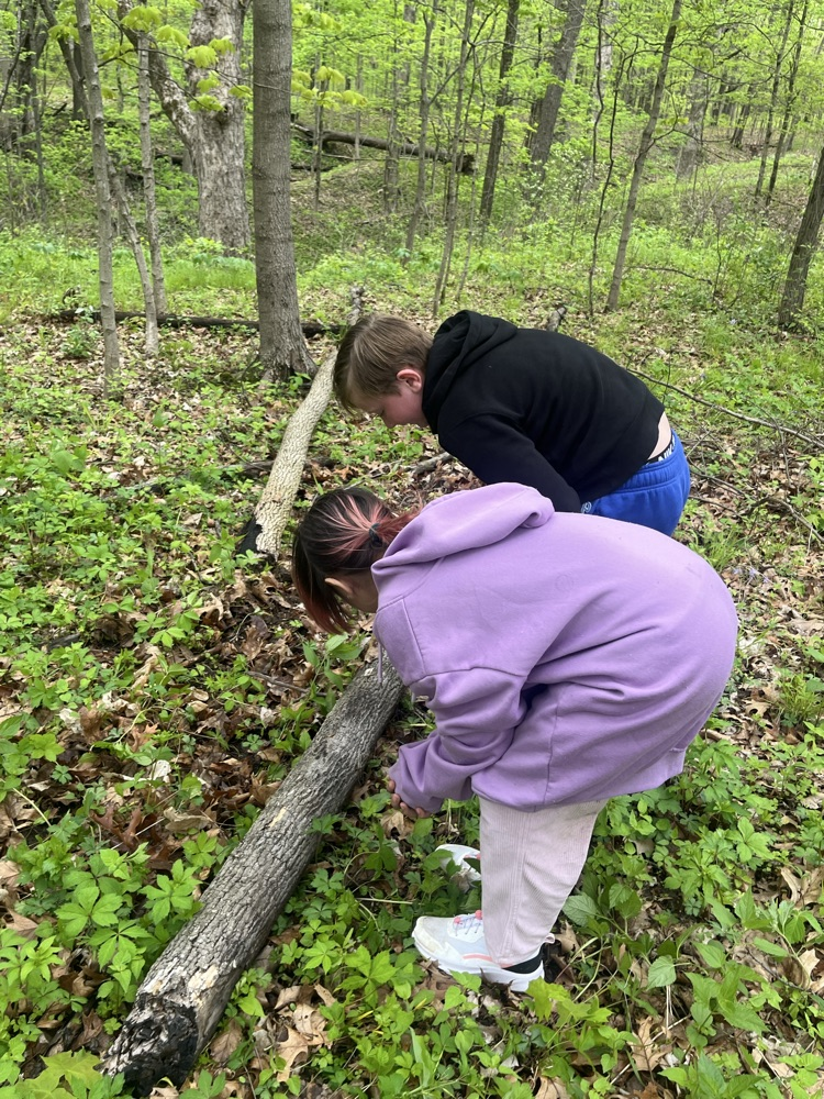 Day 2 of Outdoor School 🐛   Today we hiked to Lookout Point and we saw a lot of different kinds of fungi. This afternoon we were able to go out and complete a critter crawl. We found a lot of different types of bugs! 