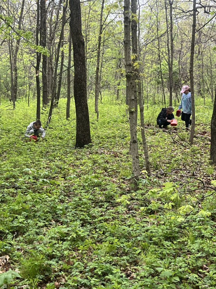 Day 2 of Outdoor School 🐛   Today we hiked to Lookout Point and we saw a lot of different kinds of fungi. This afternoon we were able to go out and complete a critter crawl. We found a lot of different types of bugs! 