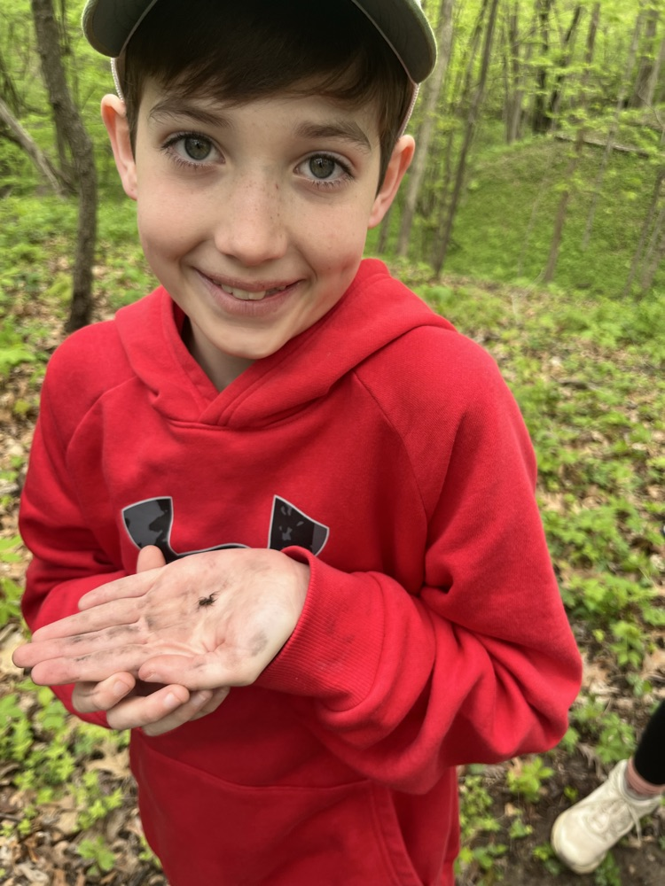 Day 2 of Outdoor School 🐛   Today we hiked to Lookout Point and we saw a lot of different kinds of fungi. This afternoon we were able to go out and complete a critter crawl. We found a lot of different types of bugs! 