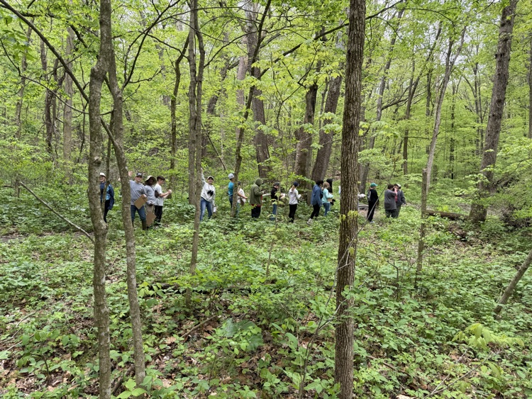 Our second day of Outdoor School for Mr. Rush’s class was spent outside! We were able to hike to Lookout Point and do a critter crawl, where we found spiders, frogs, salamanders, and many more! In total we hiked 2.69 miles!