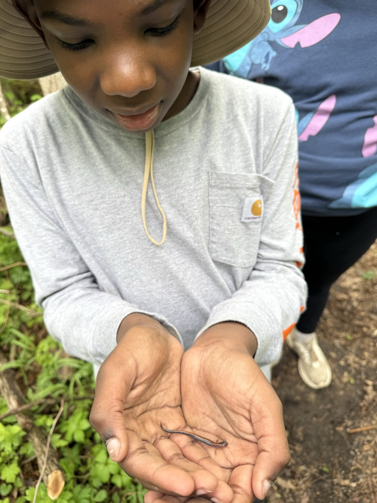Our second day of Outdoor School for Mr. Rush’s class was spent outside! We were able to hike to Lookout Point and do a critter crawl, where we found spiders, frogs, salamanders, and many more! In total we hiked 2.69 miles!