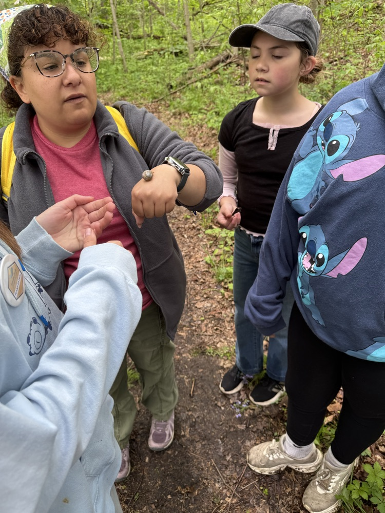 Our second day of Outdoor School for Mr. Rush’s class was spent outside! We were able to hike to Lookout Point and do a critter crawl, where we found spiders, frogs, salamanders, and many more! In total we hiked 2.69 miles!