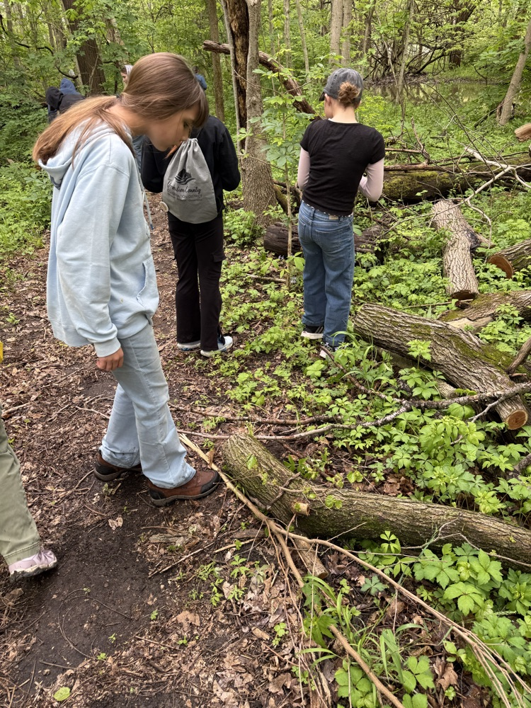 Our second day of Outdoor School for Mr. Rush’s class was spent outside! We were able to hike to Lookout Point and do a critter crawl, where we found spiders, frogs, salamanders, and many more! In total we hiked 2.69 miles!