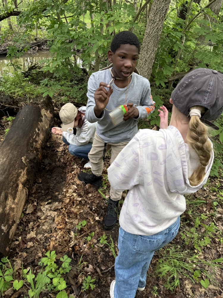 Our second day of Outdoor School for Mr. Rush’s class was spent outside! We were able to hike to Lookout Point and do a critter crawl, where we found spiders, frogs, salamanders, and many more! In total we hiked 2.69 miles!