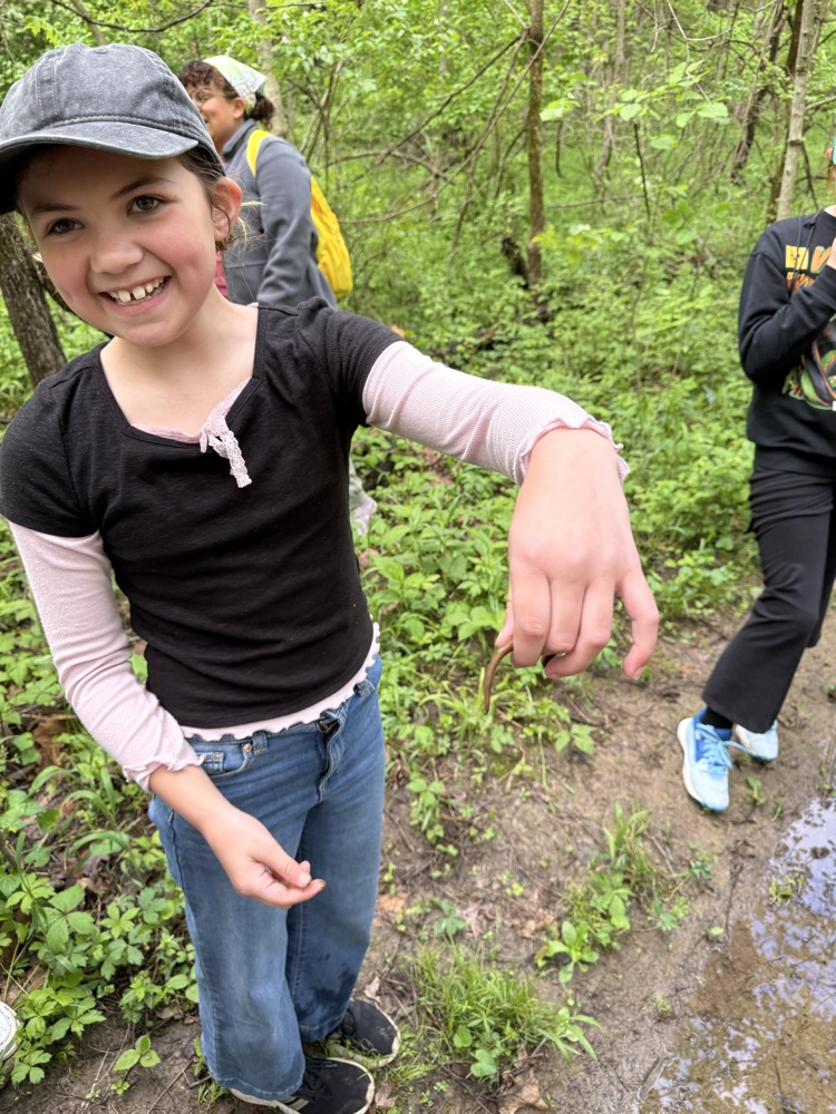 Our second day of Outdoor School for Mr. Rush’s class was spent outside! We were able to hike to Lookout Point and do a critter crawl, where we found spiders, frogs, salamanders, and many more! In total we hiked 2.69 miles!