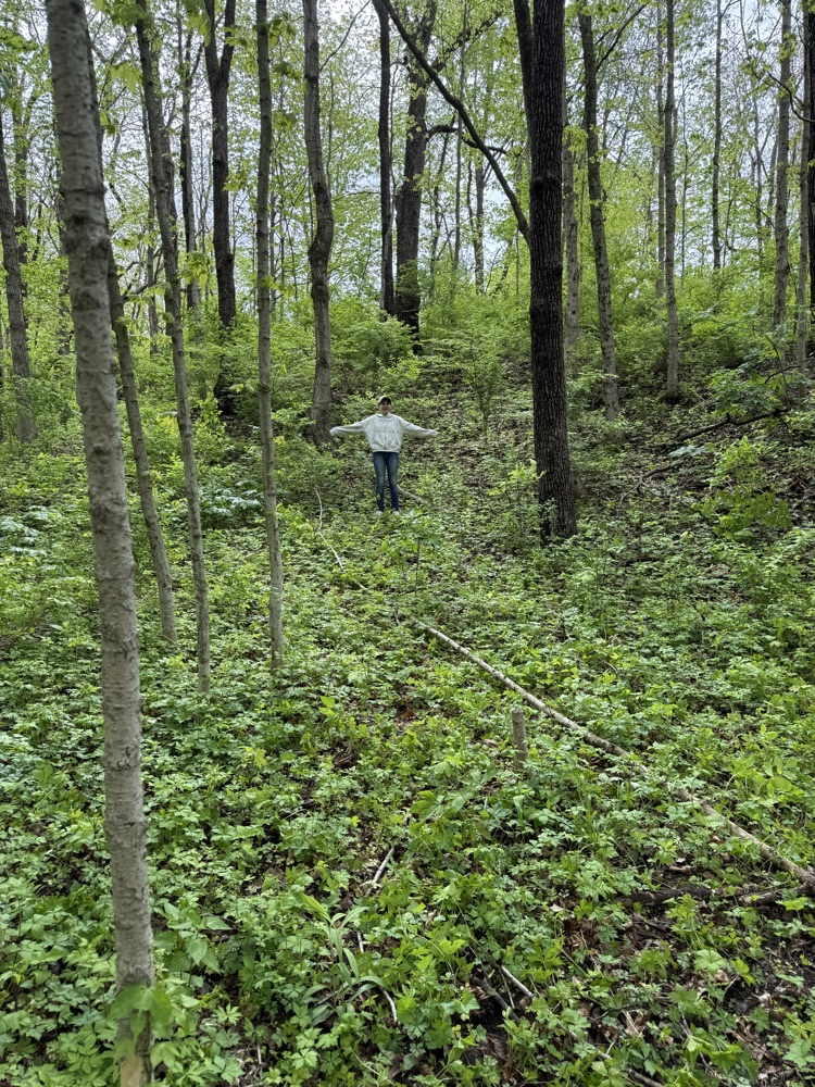 Our second day of Outdoor School for Mr. Rush’s class was spent outside! We were able to hike to Lookout Point and do a critter crawl, where we found spiders, frogs, salamanders, and many more! In total we hiked 2.69 miles!