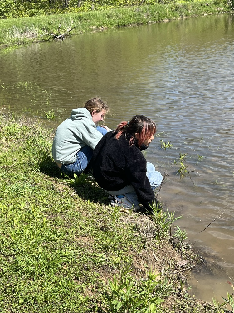 Day 3 of Outdoor School. Today the class of Mrs. Gaddis and Mrs. Turner hiked 2.7 miles on the Hidden Valley trail.  We talked about taxidermy and then the kids were able to catch some baby salamanders and tadpoles.  