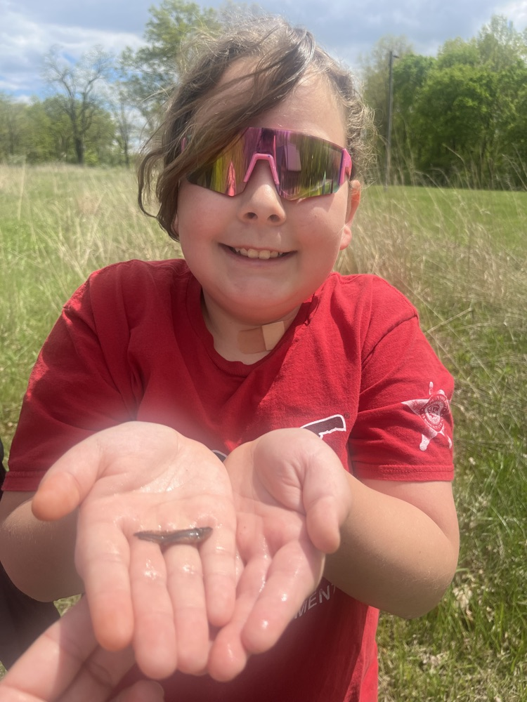 Day 3 of Outdoor School. Today the class of Mrs. Gaddis and Mrs. Turner hiked 2.7 miles on the Hidden Valley trail.  We talked about taxidermy and then the kids were able to catch some baby salamanders and tadpoles.  