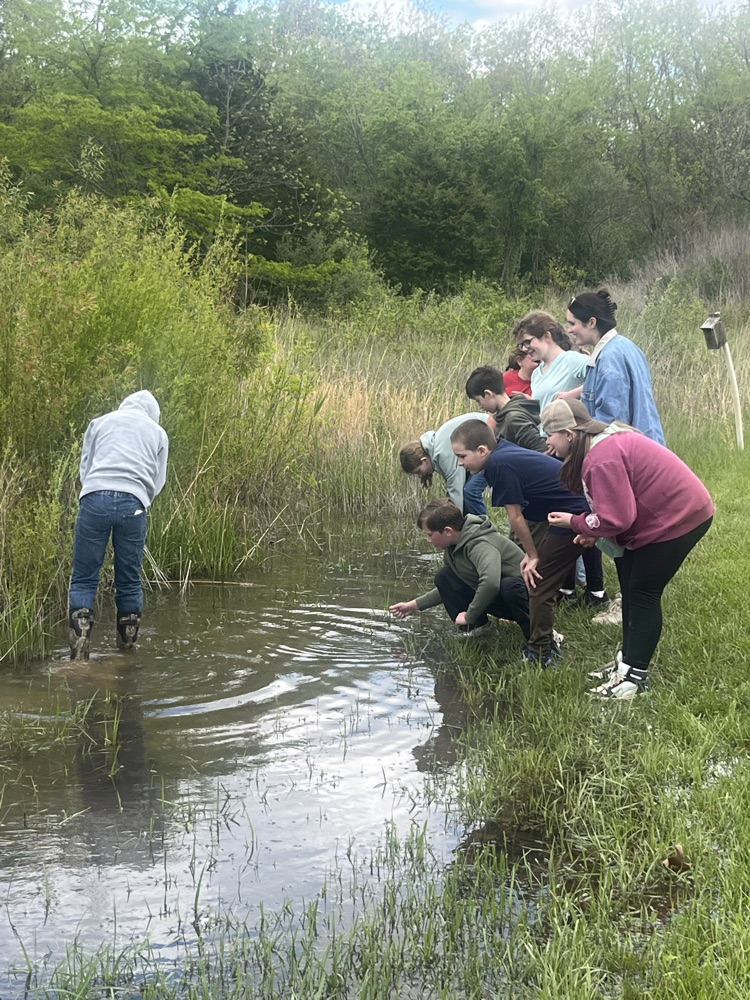 Day 3 of Outdoor School. Today the class of Mrs. Gaddis and Mrs. Turner hiked 2.7 miles on the Hidden Valley trail.  We talked about taxidermy and then the kids were able to catch some baby salamanders and tadpoles.  