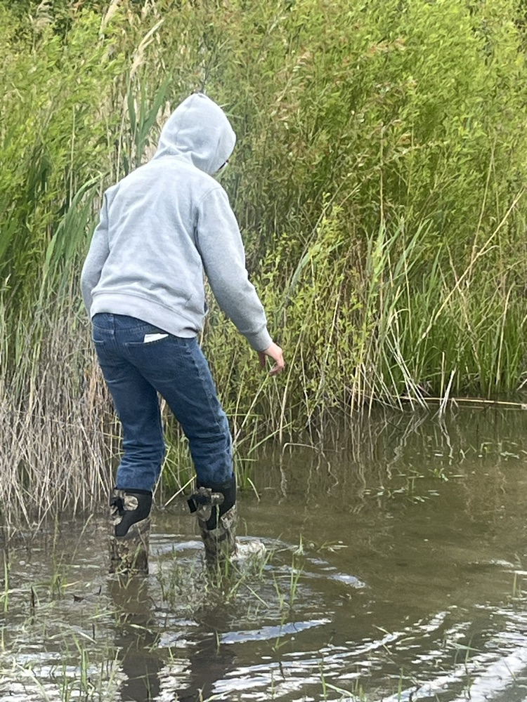 Day 3 of Outdoor School. Today the class of Mrs. Gaddis and Mrs. Turner hiked 2.7 miles on the Hidden Valley trail.  We talked about taxidermy and then the kids were able to catch some baby salamanders and tadpoles.  