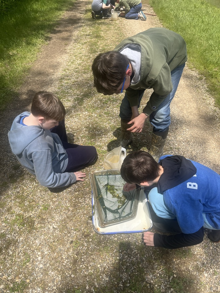 Day 4 of Outdoor School! Today we hiked 2 miles by the Middle Fork River and saw some turtles and other wildlife. This afternoon we did the Aquatic Study where they got to use dipping nets to find all sorts of aquatic life. 
