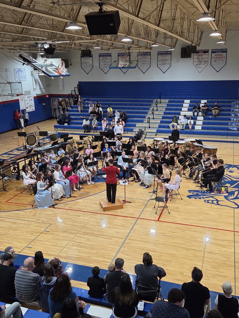 HAMS Band at Fine Arts Festival