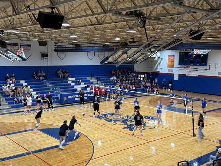 volleyball