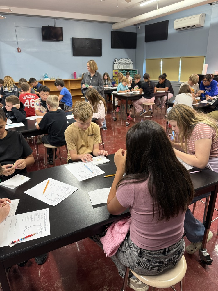 Students in Mrs. Gaddis and Mr. Rush's classes were able to dissect lima beans. Students are then experimenting with the Lima beans to see if they will still grow when they are deprived of a need: air, water, nutrients, or sunlight.