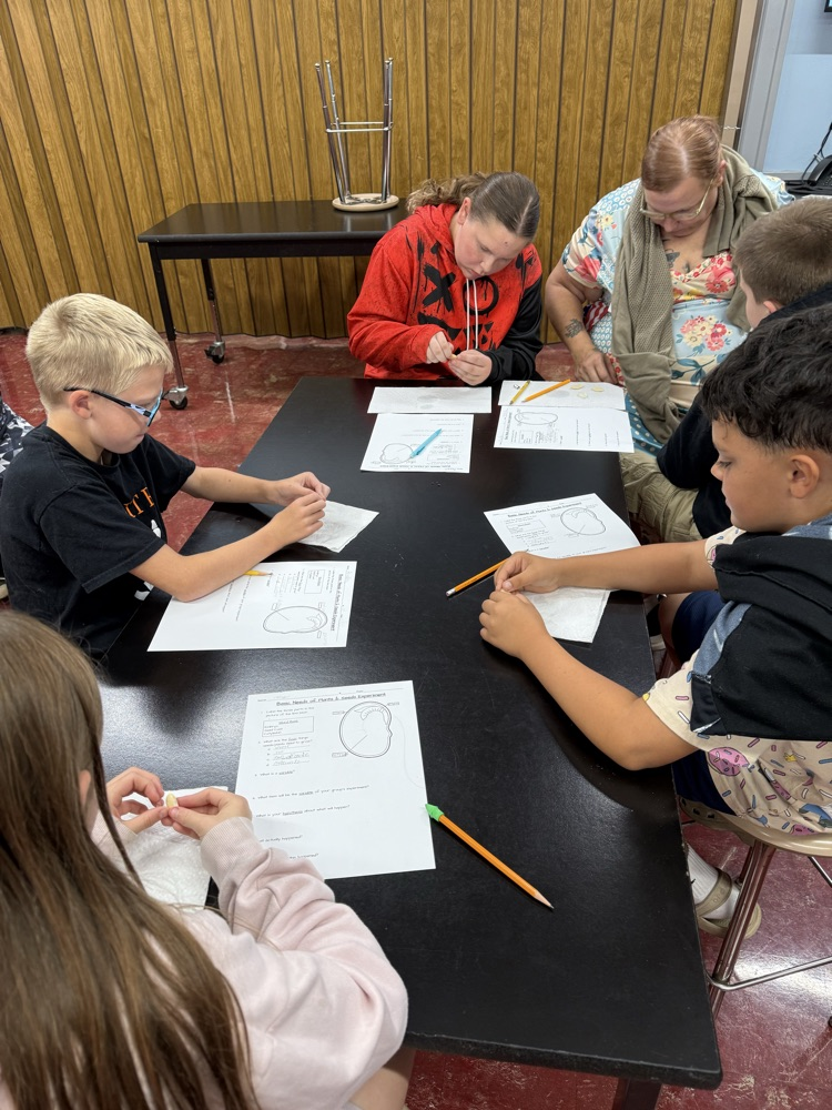 Students in Mrs. Gaddis and Mr. Rush's classes were able to dissect lima beans. Students are then experimenting with the Lima beans to see if they will still grow when they are deprived of a need: air, water, nutrients, or sunlight.