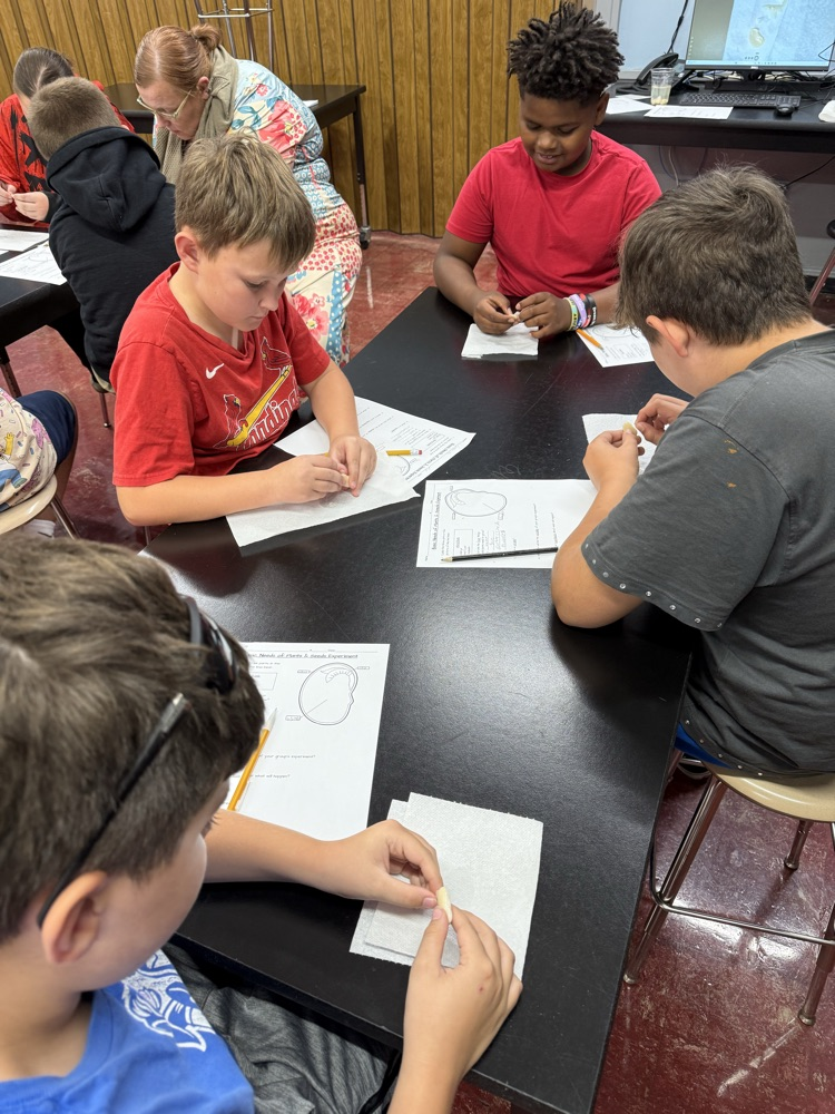Students in Mrs. Gaddis and Mr. Rush's classes were able to dissect lima beans. Students are then experimenting with the Lima beans to see if they will still grow when they are deprived of a need: air, water, nutrients, or sunlight.