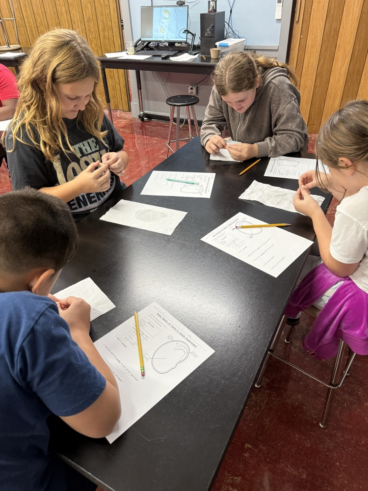 Students in Mrs. Gaddis and Mr. Rush's classes were able to dissect lima beans. Students are then experimenting with the Lima beans to see if they will still grow when they are deprived of a need: air, water, nutrients, or sunlight.