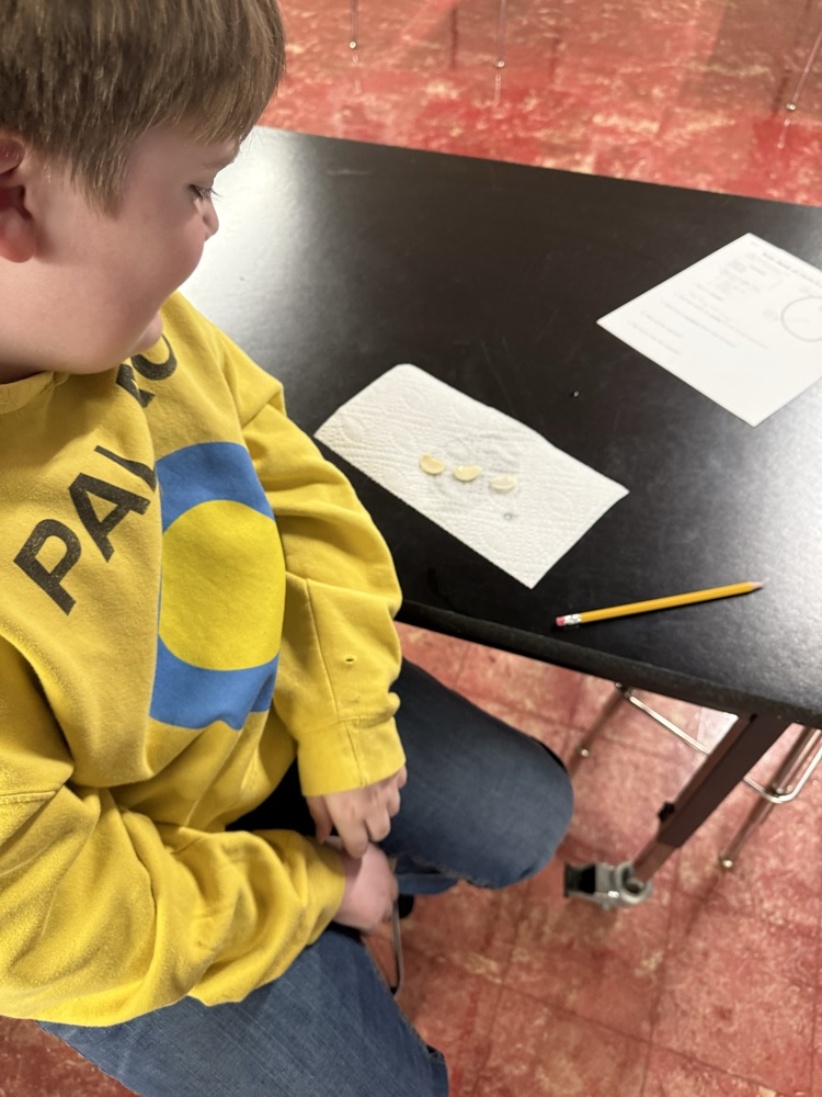 Students in Mrs. Gaddis and Mr. Rush's classes were able to dissect lima beans. Students are then experimenting with the Lima beans to see if they will still grow when they are deprived of a need: air, water, nutrients, or sunlight.