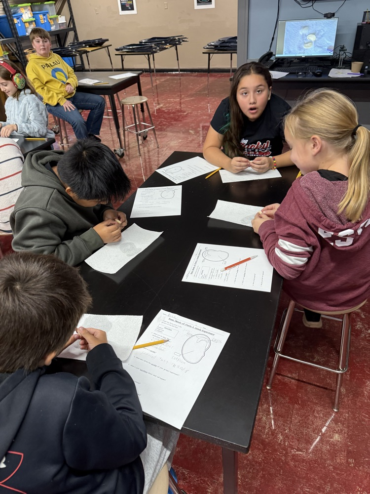 Students in Mrs. Gaddis and Mr. Rush's classes were able to dissect lima beans. Students are then experimenting with the Lima beans to see if they will still grow when they are deprived of a need: air, water, nutrients, or sunlight.