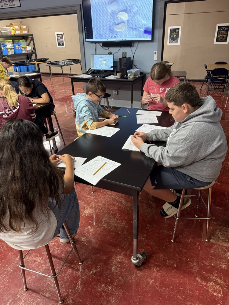 Students in Mrs. Gaddis and Mr. Rush's classes were able to dissect lima beans. Students are then experimenting with the Lima beans to see if they will still grow when they are deprived of a need: air, water, nutrients, or sunlight.