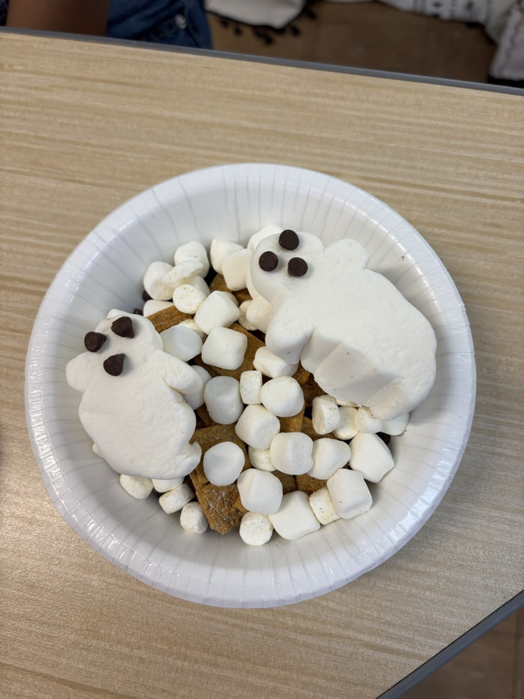 s’mores snacks  