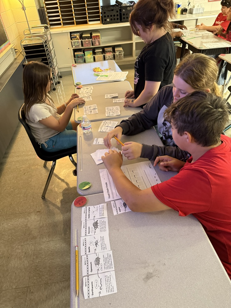 Mr. Rush's classes are learning about food chains by playing a card game where they are trying to build the longest chain!