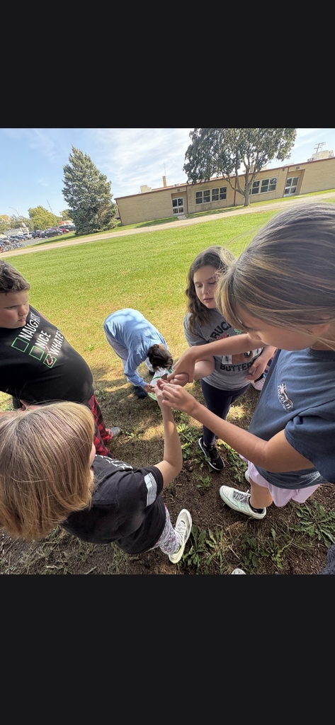 Student transferring butterfly to another student