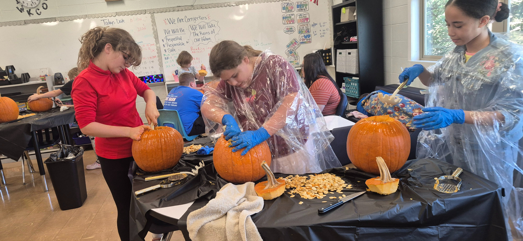 Scooping seeds and pumpkin guts