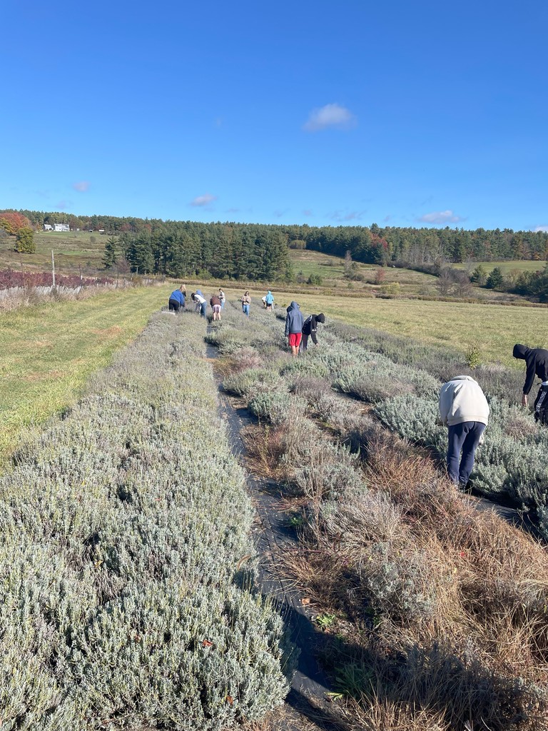 8th graders at Hayberry Farm- fall 2024