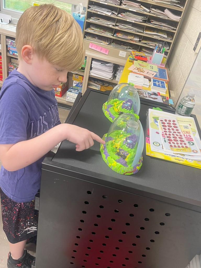 kindergarten ladybugs during summer reading school