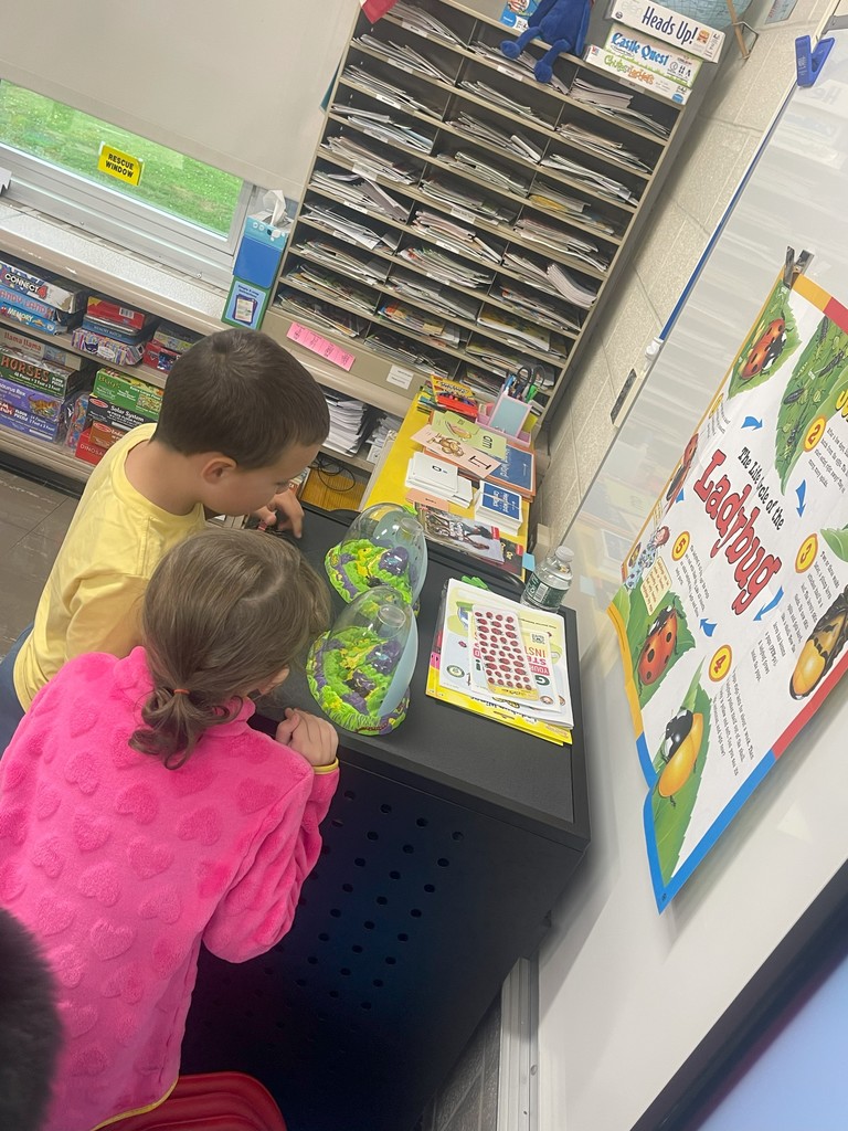 kindergarten ladybugs during summer reading school