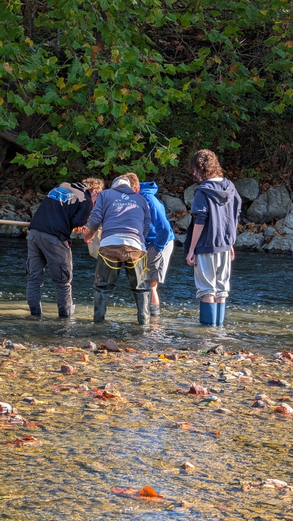 Mrs. Mabey's AP Environmental Science/SUNY-Environmental Science and Forestry Global Environment Class participated in A Day in the Life of the Hudson River this past week. What is Day in the Life? Each fall, schools all along the Hudson River collaborate to create a “day-in-the-life” picture of the river. The annual event is designed to bring school groups and education partners to the Hudson, where they can learn directly from the river. Using seine nets, minnow pots, water-testing gear, and simple tools, thousands of students catch and release many of the Hudson’s 200-plus species of fish. They also track the river’s tides and currents, check the salinity, examine water chemistry and quality, and even take a look at the muddy river bottom. The students thoroughly enjoyed this adventure. They love having the opportunity to get outside and connect their classroom studies in a practical and beautiful setting. Thank you for sharing, Mrs. Mabey!