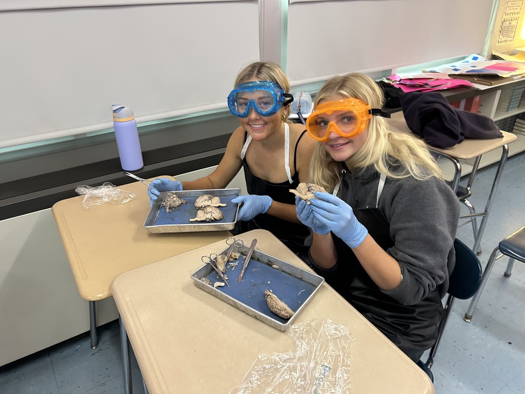 Mr. Cabana's AP Psychology students got hands-on with neuroscience at the end of October! With the help of former 8th-grade science teacher and current librarian, Mrs. Antolick, students dissected sheep brains to explore the complex anatomy of the brain, identifying external and internal structures, understanding the relationship between structure and function, and discovering the similarities between sheep and human brains. This engaging lab experience brought their classroom learning to life! 🧠