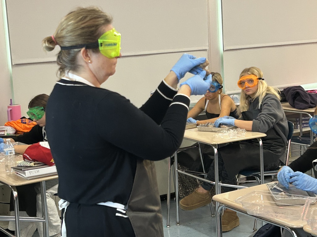 Mr. Cabana's AP Psychology students got hands-on with neuroscience at the end of October! With the help of former 8th-grade science teacher and current librarian, Mrs. Antolick, students dissected sheep brains to explore the complex anatomy of the brain, identifying external and internal structures, understanding the relationship between structure and function, and discovering the similarities between sheep and human brains. This engaging lab experience brought their classroom learning to life! 🧠