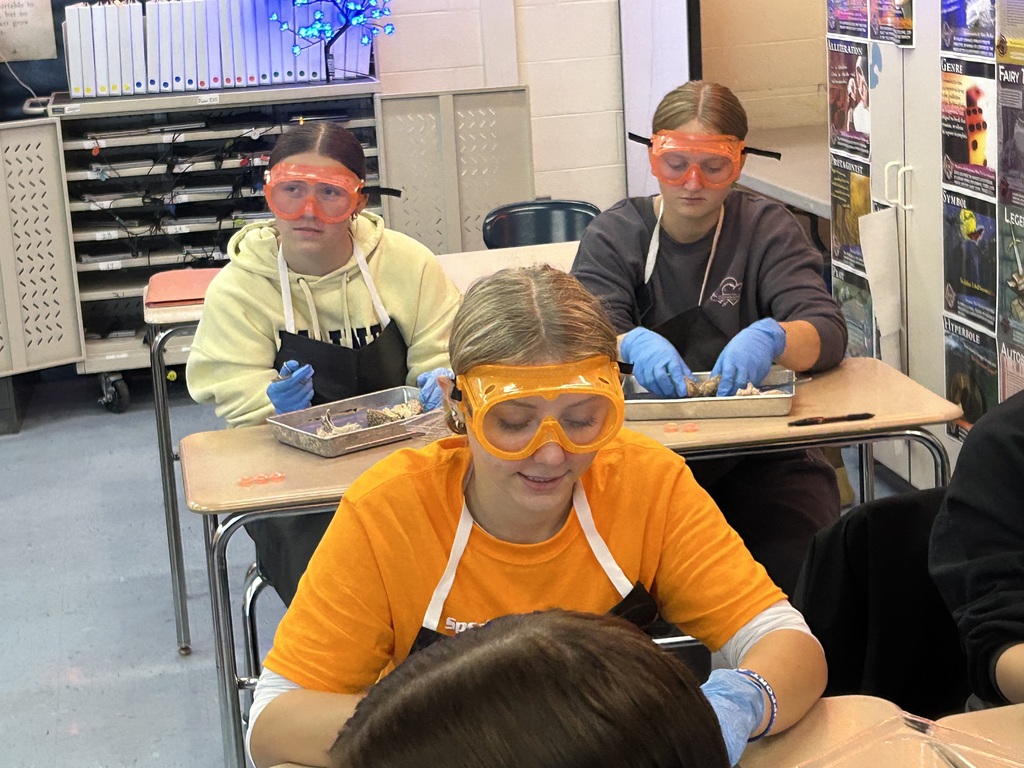 Mr. Cabana's AP Psychology students got hands-on with neuroscience at the end of October! With the help of former 8th-grade science teacher and current librarian, Mrs. Antolick, students dissected sheep brains to explore the complex anatomy of the brain, identifying external and internal structures, understanding the relationship between structure and function, and discovering the similarities between sheep and human brains. This engaging lab experience brought their classroom learning to life! 🧠