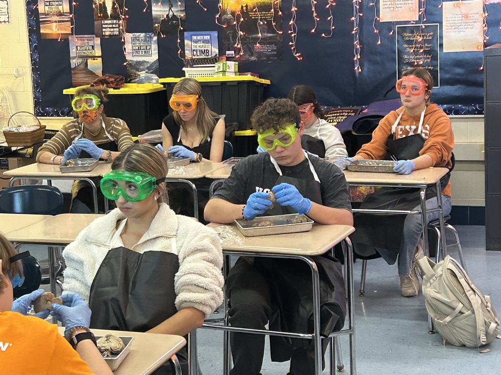 Mr. Cabana's AP Psychology students got hands-on with neuroscience at the end of October! With the help of former 8th-grade science teacher and current librarian, Mrs. Antolick, students dissected sheep brains to explore the complex anatomy of the brain, identifying external and internal structures, understanding the relationship between structure and function, and discovering the similarities between sheep and human brains. This engaging lab experience brought their classroom learning to life! 🧠