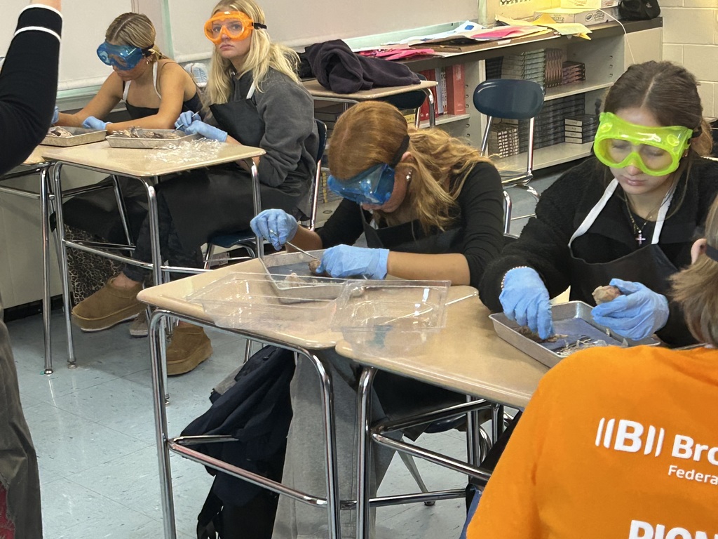Mr. Cabana's AP Psychology students got hands-on with neuroscience at the end of October! With the help of former 8th-grade science teacher and current librarian, Mrs. Antolick, students dissected sheep brains to explore the complex anatomy of the brain, identifying external and internal structures, understanding the relationship between structure and function, and discovering the similarities between sheep and human brains. This engaging lab experience brought their classroom learning to life! 🧠