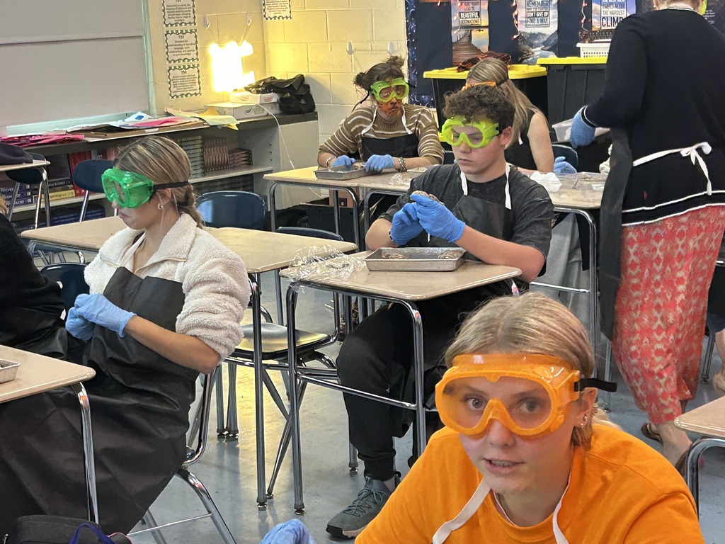 Mr. Cabana's AP Psychology students got hands-on with neuroscience at the end of October! With the help of former 8th-grade science teacher and current librarian, Mrs. Antolick, students dissected sheep brains to explore the complex anatomy of the brain, identifying external and internal structures, understanding the relationship between structure and function, and discovering the similarities between sheep and human brains. This engaging lab experience brought their classroom learning to life! 🧠