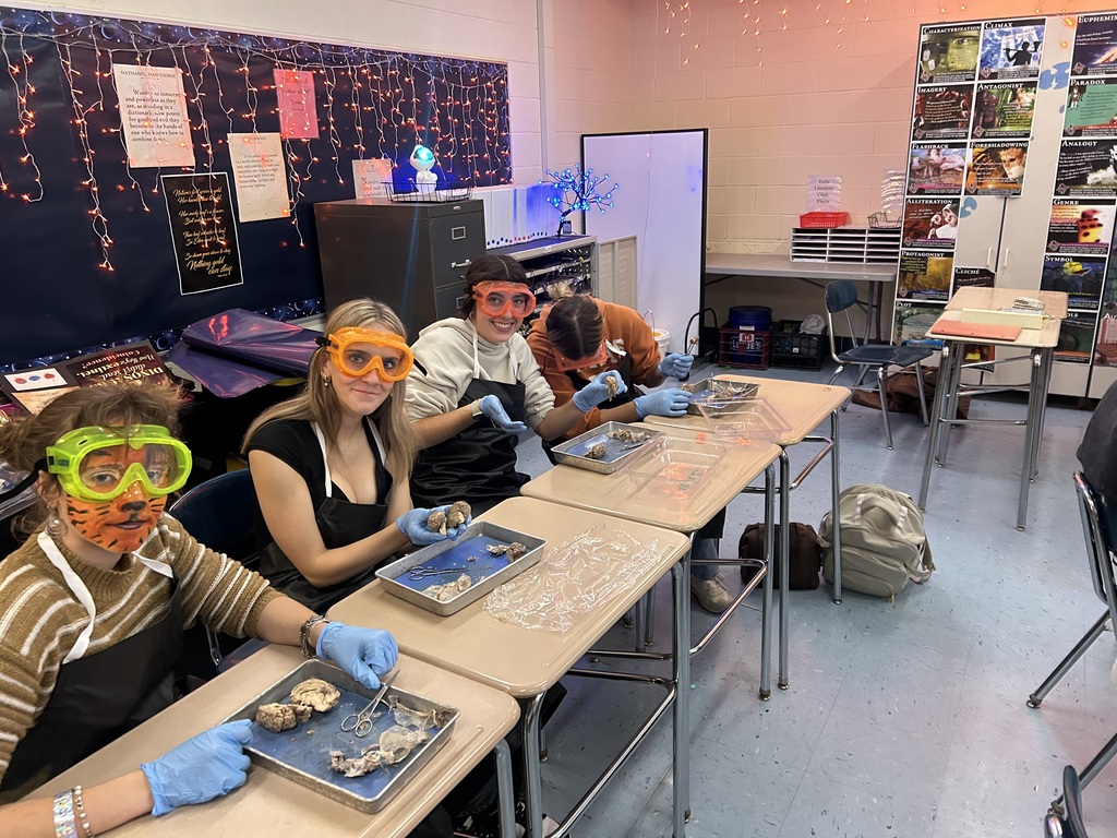Mr. Cabana's AP Psychology students got hands-on with neuroscience at the end of October! With the help of former 8th-grade science teacher and current librarian, Mrs. Antolick, students dissected sheep brains to explore the complex anatomy of the brain, identifying external and internal structures, understanding the relationship between structure and function, and discovering the similarities between sheep and human brains. This engaging lab experience brought their classroom learning to life! 🧠