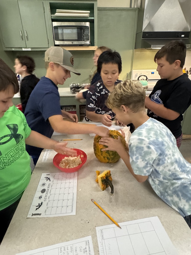 Middle school students in Mrs. Zak's Agriculture Exploration class and Mrs. Sutton's Life Skills class recently had a "pumpkin party"!!!🎃 This was a multiple-day activity, where students had hands-on fun comparing the exterior, interior, and taste of four different pumpkin varieties. Students got right to work counting seeds and making observations!! 