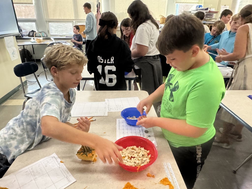 Middle school students in Mrs. Zak's Agriculture Exploration class and Mrs. Sutton's Life Skills class recently had a "pumpkin party"!!!🎃 This was a multiple-day activity, where students had hands-on fun comparing the exterior, interior, and taste of four different pumpkin varieties. Students got right to work counting seeds and making observations!! 