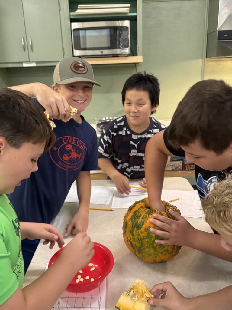 Middle school students in Mrs. Zak's Agriculture Exploration class and Mrs. Sutton's Life Skills class recently had a "pumpkin party"!!!🎃 This was a multiple-day activity, where students had hands-on fun comparing the exterior, interior, and taste of four different pumpkin varieties. Students got right to work counting seeds and making observations!! 