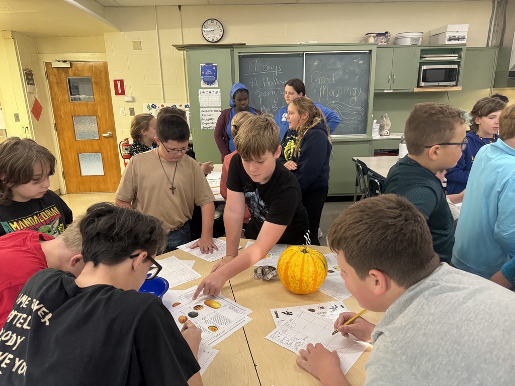 Middle school students in Mrs. Zak's Agriculture Exploration class and Mrs. Sutton's Life Skills class recently had a "pumpkin party"!!!🎃 This was a multiple-day activity, where students had hands-on fun comparing the exterior, interior, and taste of four different pumpkin varieties. Students got right to work counting seeds and making observations!! 